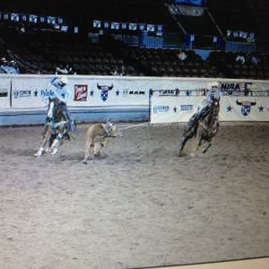 Meet your Posher, Connor